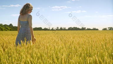 美丽的女孩金小麦收获场农学家小麦<strong>耳朵</strong>